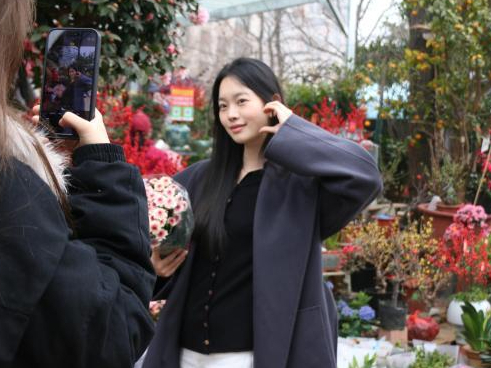 年輕人追捧年花 高性?xún)r(jià)比成首選